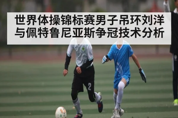 世界体操锦标赛男子吊环刘洋与佩特鲁尼亚斯争冠技术分析（NG28）